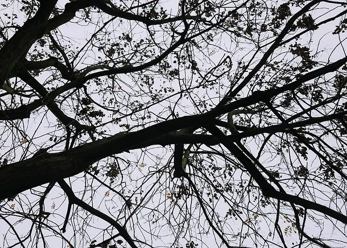 Διαμέρισμα Luxury - Zen Urban Retreat *